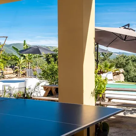 Casa Gemeos * アルコバサ